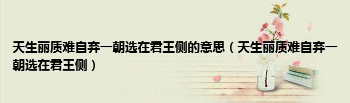 天生丽质难自弃一朝选在君王侧的意思(天生丽质难自弃一朝选在君王侧)