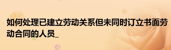 如何处理已建立劳动关系但未同时订立书面劳动合同的人员_