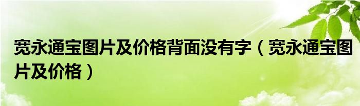宽永通宝图片及价格背面没有字(宽永通宝图片及价格)