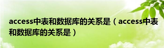 access中表和数据库的关系是(access中表和数据库的关系是)