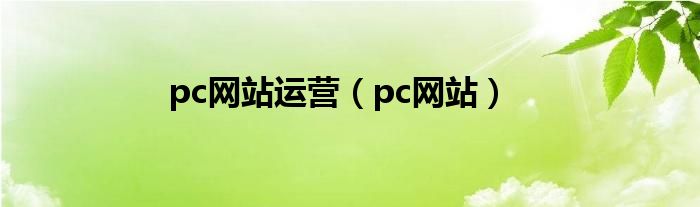 pc网站运营(pc网站)
