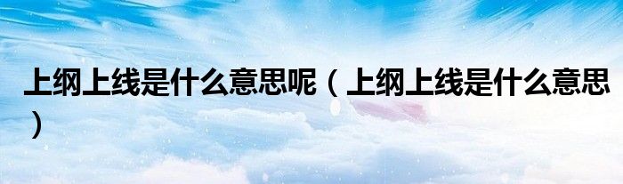 上纲上线是什么意思呢(上纲上线是什么意思)