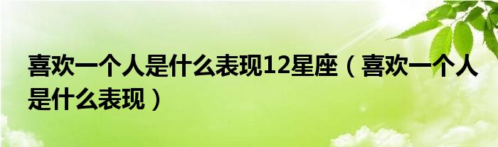 喜欢一个人是什么表现12星座(喜欢一个人是什么表现)