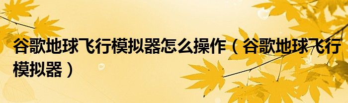 谷歌地球飞行模拟器怎么操作(谷歌地球飞行模拟器)