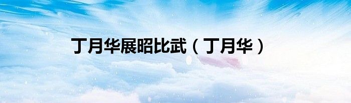 丁月华展昭比武（丁月华）