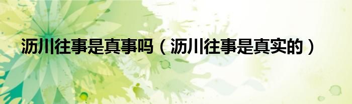 沥川往事是真事吗(沥川往事是真实的)