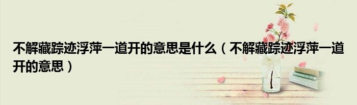 不解藏踪迹浮萍一道开的意思是什么(不解藏踪迹浮萍一道开的意思)