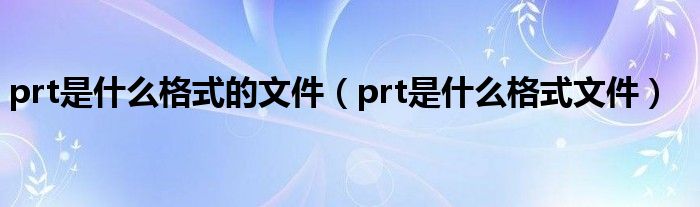 prt是什么格式的文件(prt是什么格式文件)