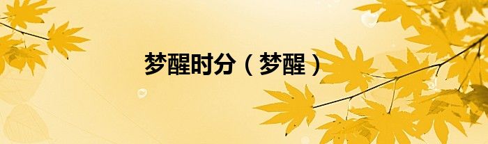梦醒时分（梦醒）