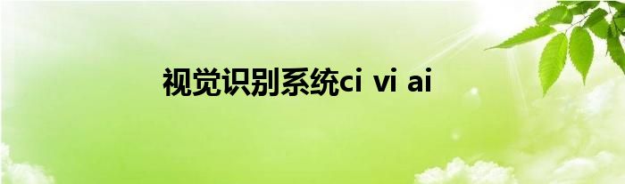 视觉识别系统ci vi ai