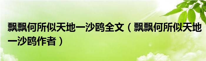 飘飘何所似天地一沙鸥全文(飘飘何所似天地一沙鸥作者)
