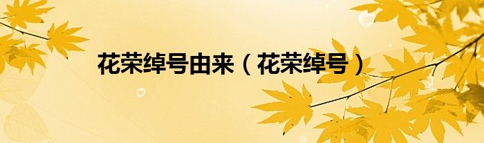 花荣绰号由来（花荣绰号）