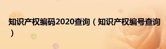 知识产权编码2020查询(知识产权编号查询)