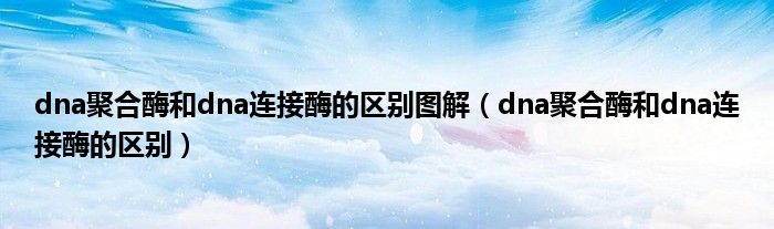 dna聚合酶和dna连接酶的区别图解(dna聚合酶和dna连接酶的区别)