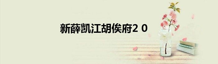 新薛凯江胡俟府2 0