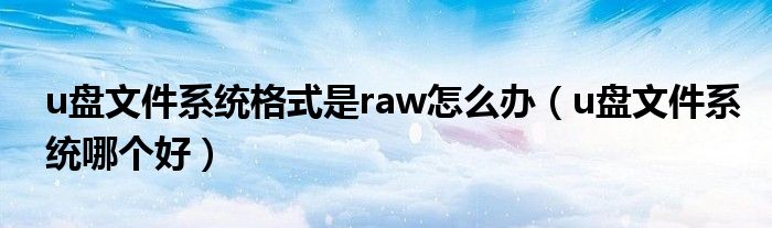 u盘文件系统格式是raw怎么办(u盘文件系统哪个好)