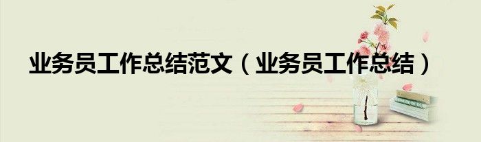 业务员工作总结范文(业务员工作总结)