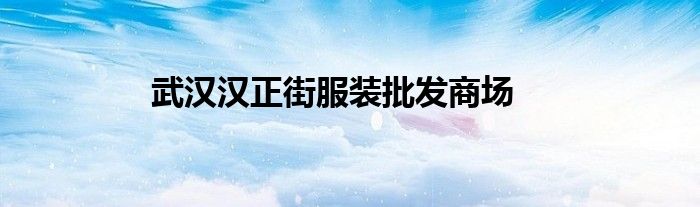 武汉汉正街服装批发商场