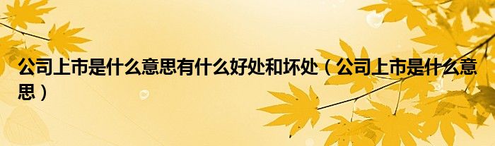 公司上市是什么意思有什么好处和坏处（公司上市是什么意思）