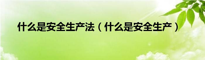 什么是安全生产法(什么是安全生产)