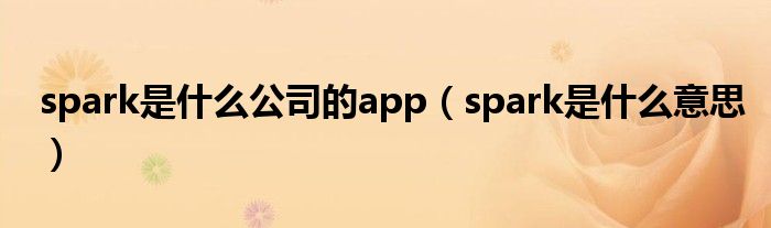 spark是什么公司的app(spark是什么意思)