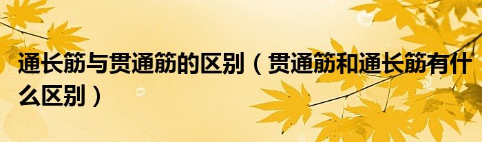 通长筋与贯通筋的区别(贯通筋和通长筋有什么区别)