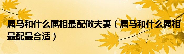 属马和什么属相最配做夫妻(属马和什么属相最配最合适)