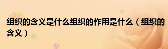 组织的含义是什么组织的作用是什么(组织的含义)