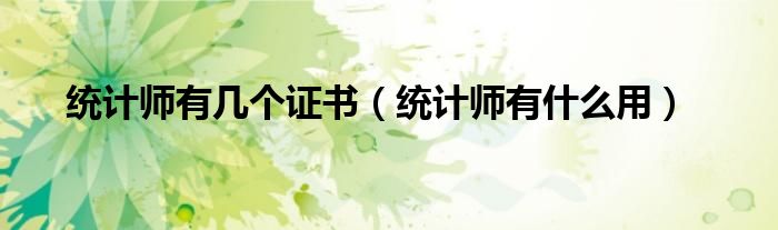 统计师有几个证书(统计师有什么用)