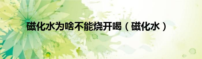 磁化水为啥不能烧开喝(磁化水)