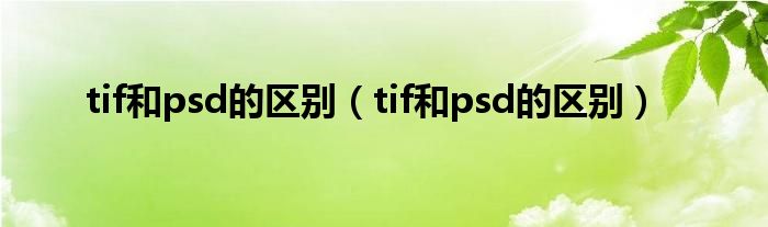 tif和psd的区别(tif和psd的区别)