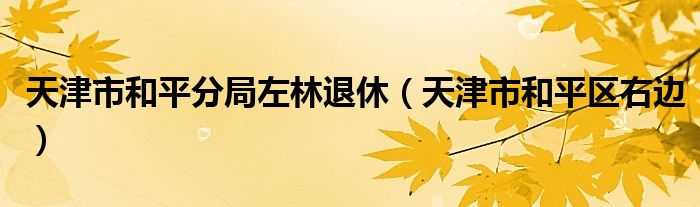 天津市和平分局左林退休(天津市和平区右边)