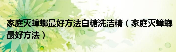 家庭灭蟑螂最好方法白糖洗洁精(家庭灭蟑螂最好方法)