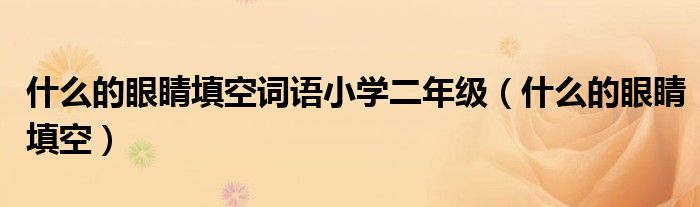 什么的眼睛填空词语小学二年级(什么的眼睛填空)