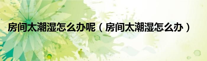 房间太潮湿怎么办呢(房间太潮湿怎么办)