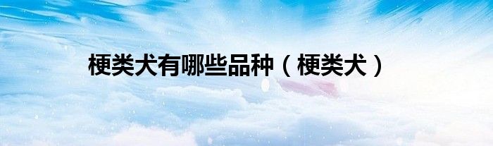梗类犬有哪些品种(梗类犬)