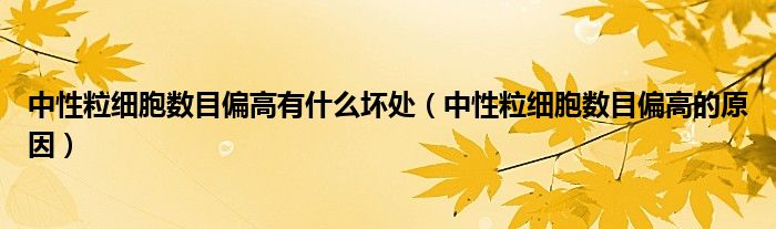 中性粒细胞数目偏高有什么坏处(中性粒细胞数目偏高的原因)