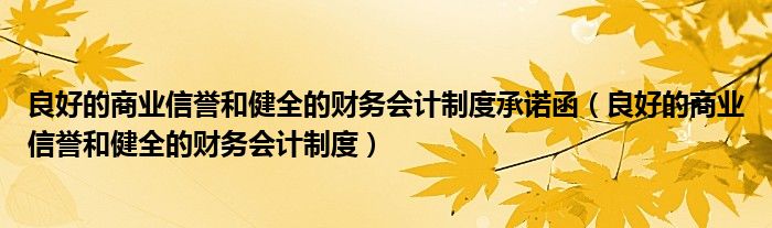 良好的商业信誉和健全的财务会计制度承诺函（良好的商业信誉和健全的财务会计制度）
