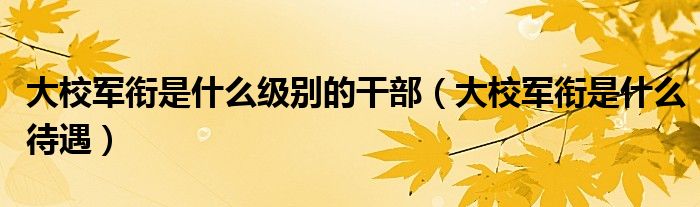大校军衔是什么级别的干部(大校军衔是什么待遇)