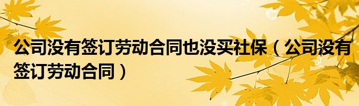 公司没有签订劳动合同也没买社保（公司没有签订劳动合同）