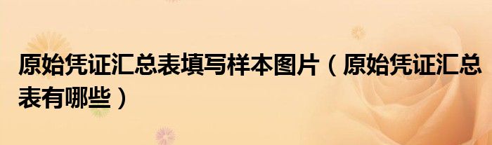 原始凭证汇总表填写样本图片(原始凭证汇总表有哪些)