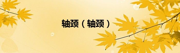 轴颈（轴颈）