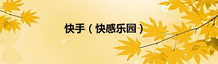 快手（快感乐园）