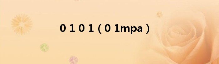 0 1 0 1(0 1mpa)