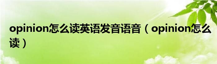 opinion怎么读英语发音语音(opinion怎么读)