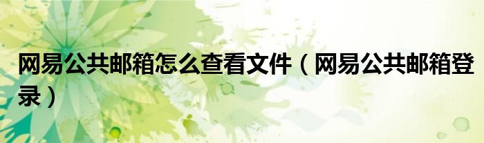 网易公共邮箱怎么查看文件(网易公共邮箱登录)