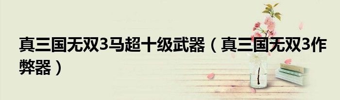 真三国无双3马超十级武器(真三国无双3作弊器)