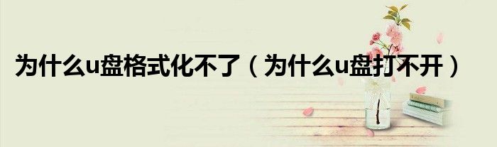 为什么u盘格式化不了(为什么u盘打不开)