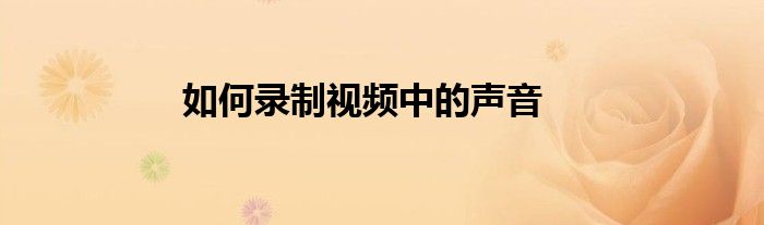 如何录制视频中的声音