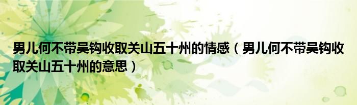 男儿何不带吴钩收取关山五十州的情感(男儿何不带吴钩收取关山五十州的意思)